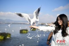 云南前11个月旅居客近500万人 同比增长54.9%